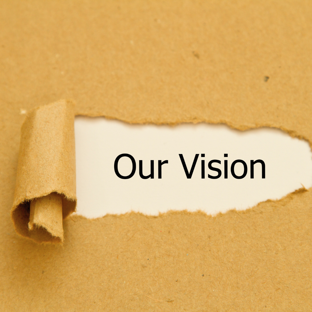 Our Vision